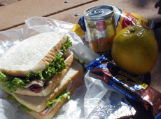 国立公園「アーチーズ」で、ランチボックスお昼御飯