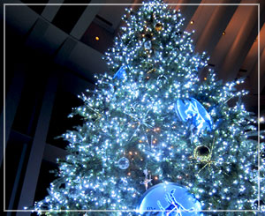 六本木ヒルズ展望台のクリスマスツリー