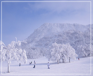 蔵王スキー場。今日は見事なこの天気！