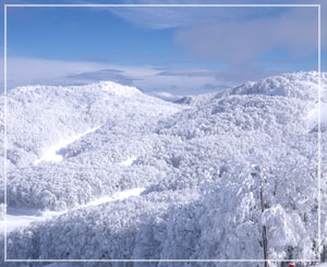 2011年元旦の蔵王スキー場、午後になってますます晴れてきました
