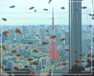六本木ヒルズ「スカイアクアリウム」。魚の泳ぐ背景に東京タワー、不思議な光景。