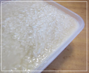 仕込み後すぐの塩麹はこんな感じ。まだまだ「米」っぽい。