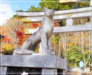 そして三峯神社は、狛犬が全員「狼」なのです。境内には犬連れの参拝者も沢山。