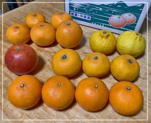 2kg柑橘セット、２個食べちゃった後に撮影しました。