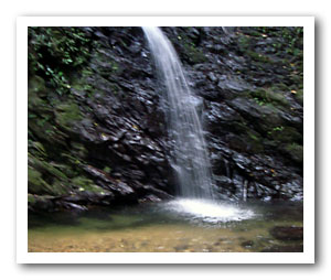 金作原原生林の小さな滝は少し神秘的でもあり