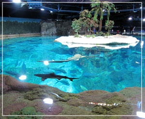 海洋公園の内の水族館「海洋館」。巨大な魚たちが泳ぐ大水槽がウリです。