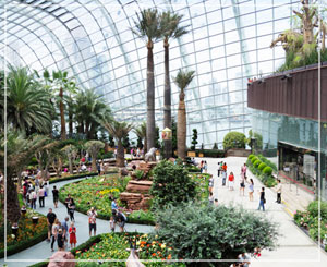 「Gardens by the Bay」の「Flower Dome」。ひろーい！