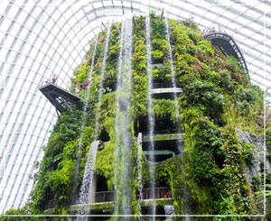 「Gardens by the Bay」の「Cloud Forest」に来ましたよー。